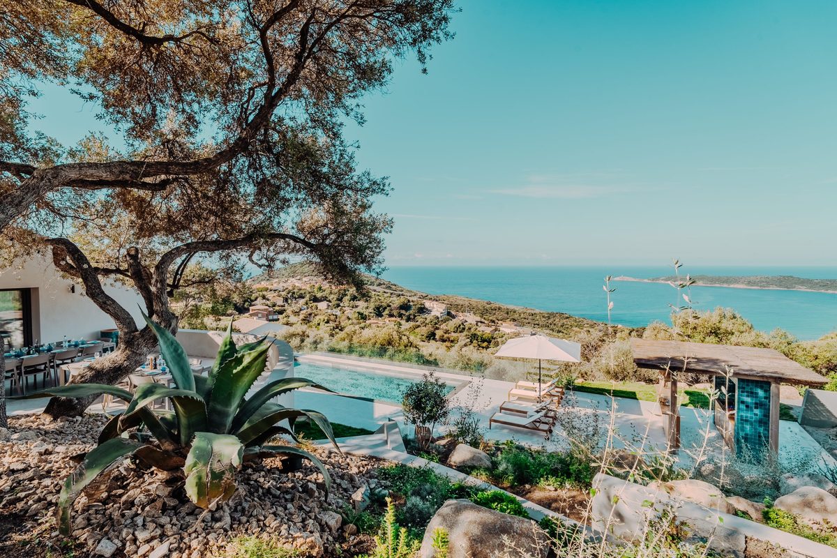 Les terrasses au milieu des oliviers