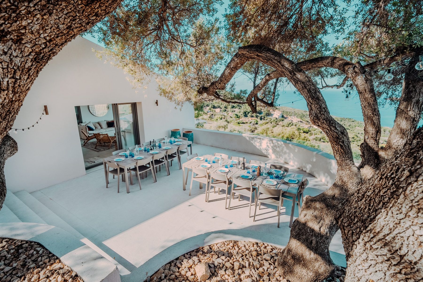 La terrasse côté oliviers, à l'ombre des arbres centenaires